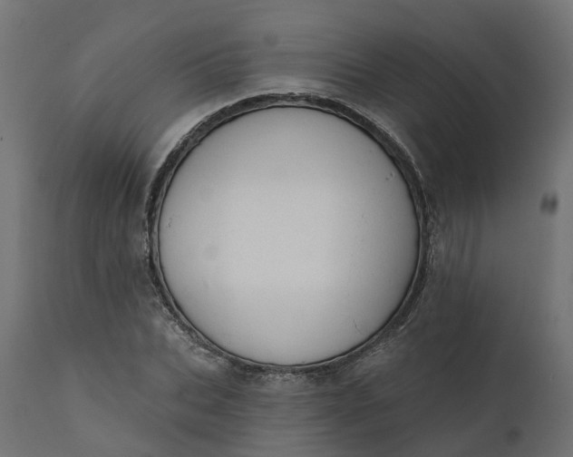 X0000111520927200907281335