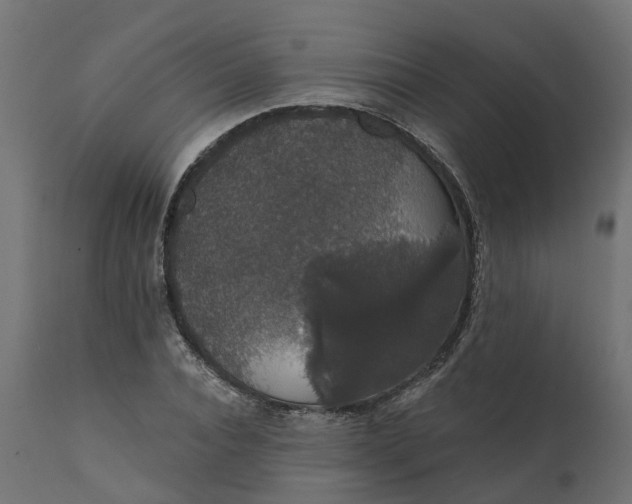 X0000111520928200907281335