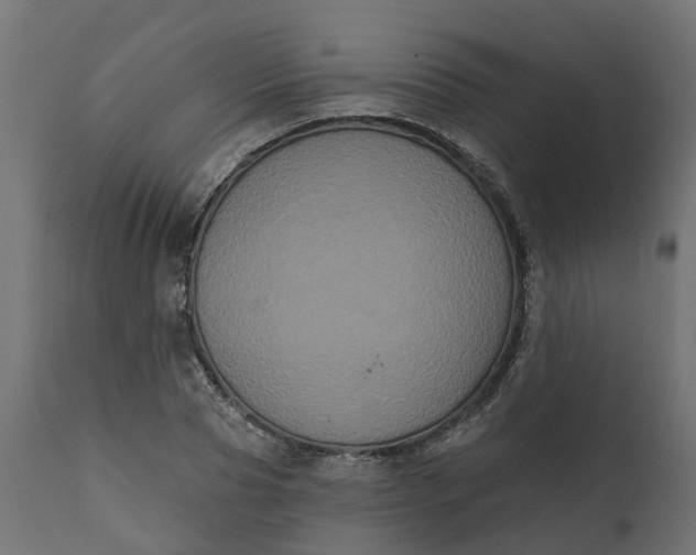 X0000111520929200907281335