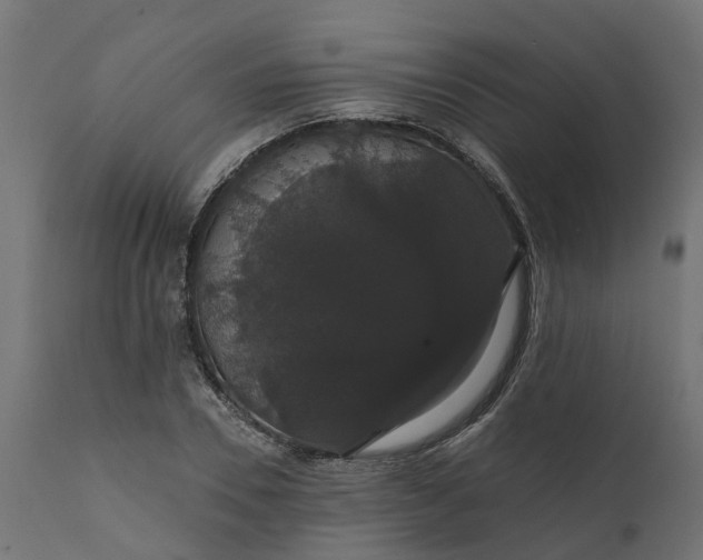 X0000111520930200907281335