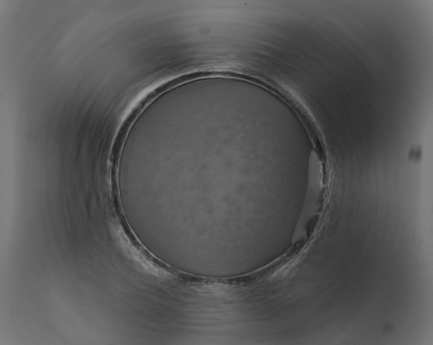 X0000111520932200907281335