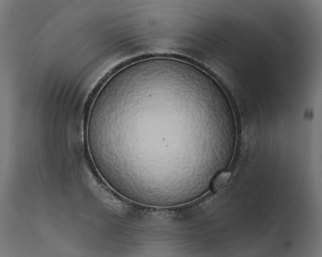 X0000111520934200907281335