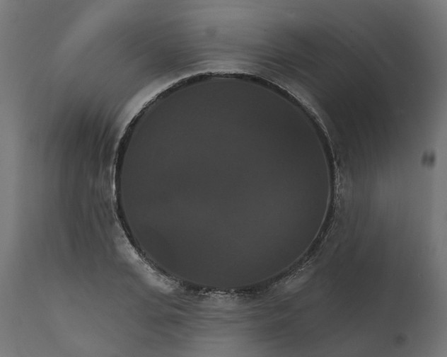 X0000111520935200907281335