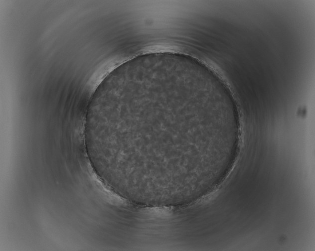 X0000111520937200907281335