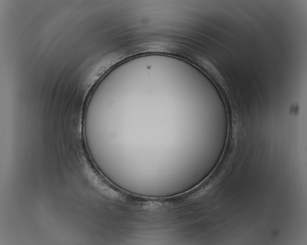X0000111520938200907281335