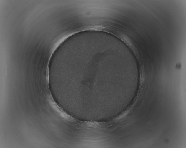 X0000111520940200907281335
