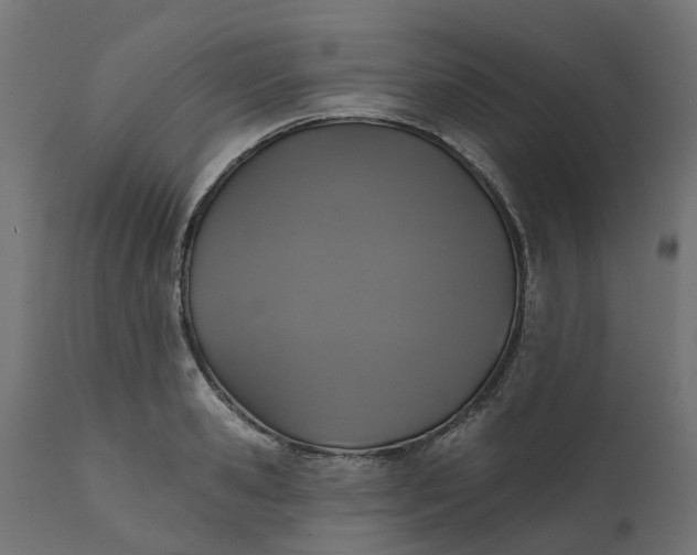 X0000111520941200907281335