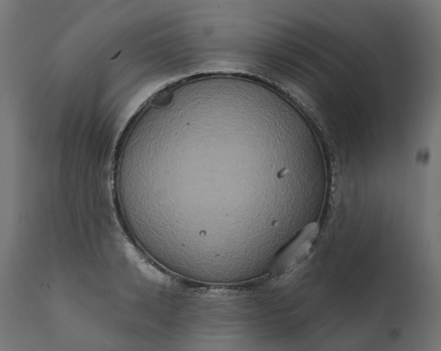 X0000111520942200907281335