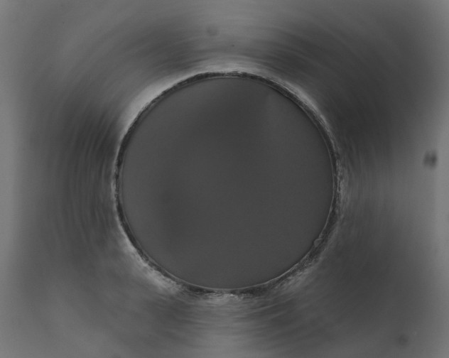 X0000111520943200907281335