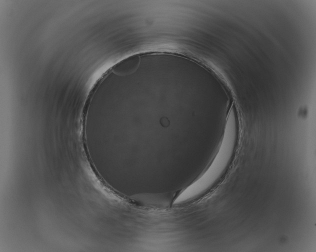 X0000111520944200907281335