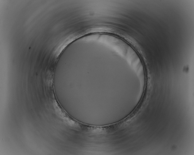 X0000111520945200907281335