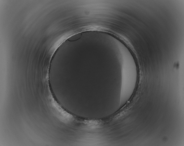 X0000111520946200907281335