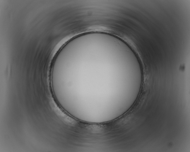 X0000111520947200907281335
