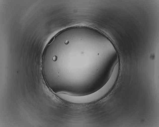 X0000111520948200907281335