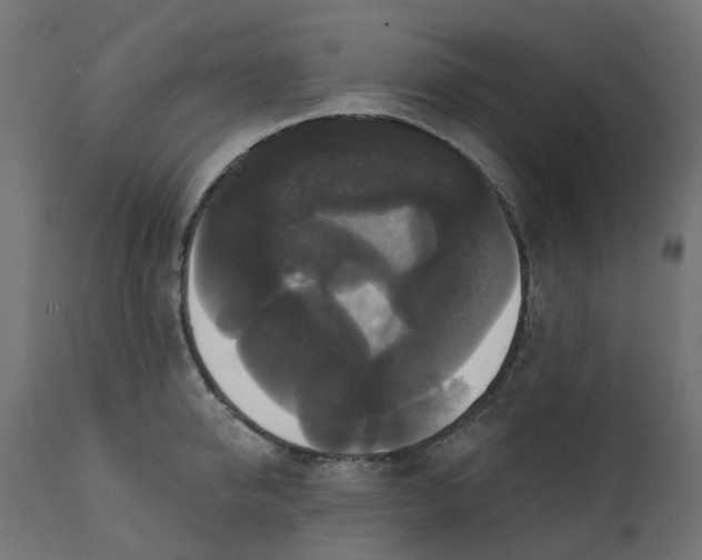 X0000111520950200907281335