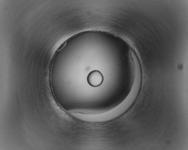 X0000111520952200907281335