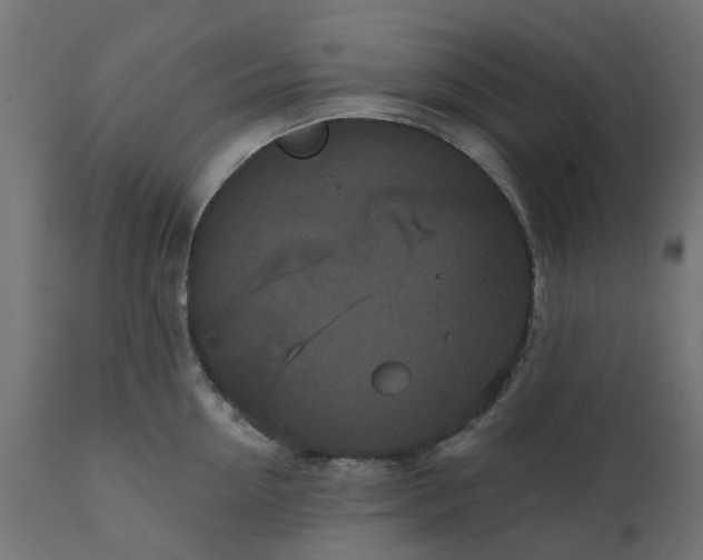 X0000111520954200907281335