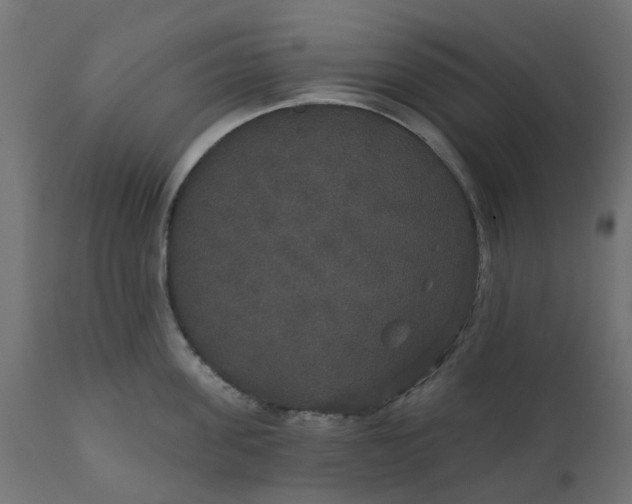 X0000111520955200907281335