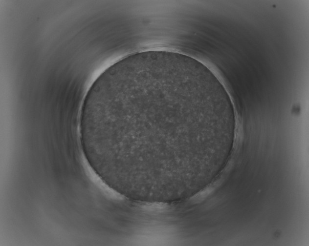 X0000111520957200907281335