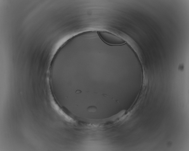 X0000111520958200907281335
