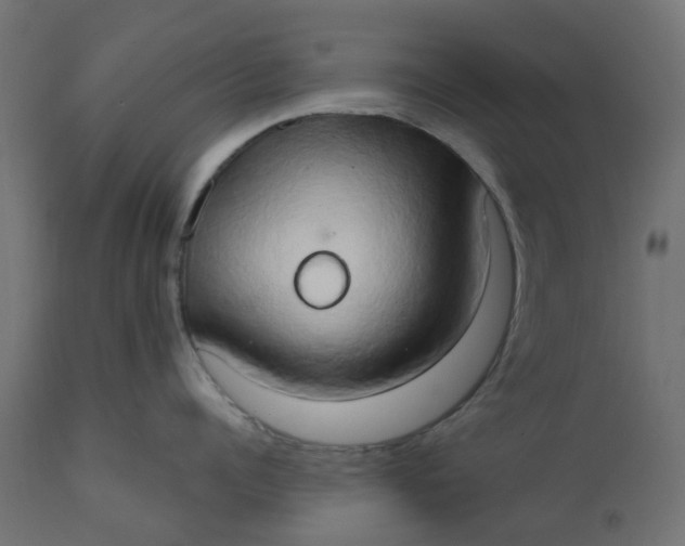 X0000111520960200907281335