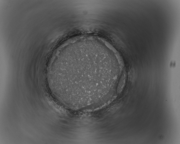 X0000111520961200907281335