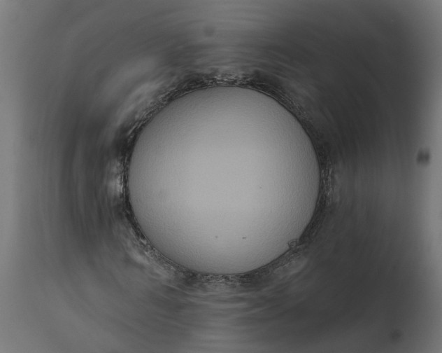 X0000111520962200907281334