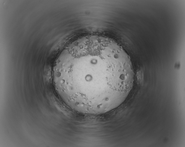 X0000111520963200907281334