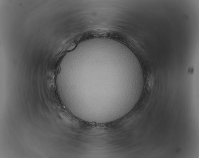 X0000111520964200907281334
