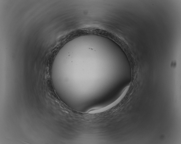 X0000111520965200907281334