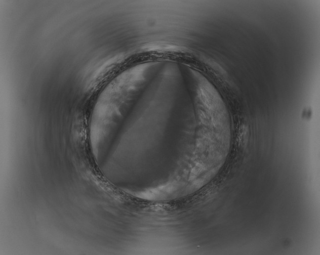 X0000111520966200907281334