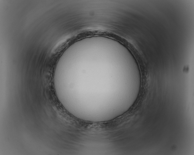 X0000111520967200907281334