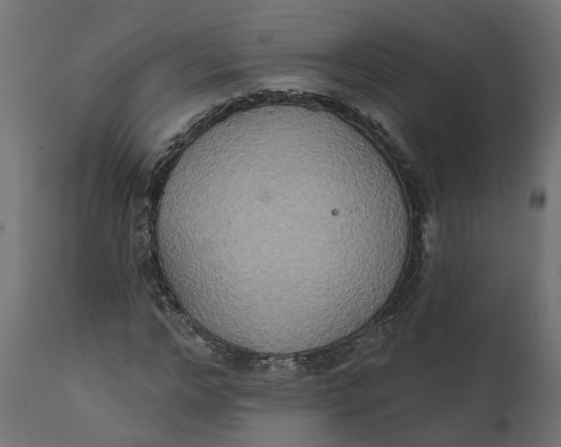 X0000111520968200907281334