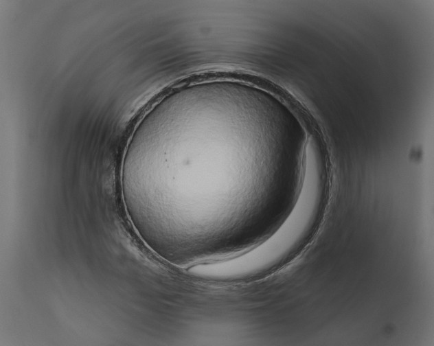 X0000111520969200907281334