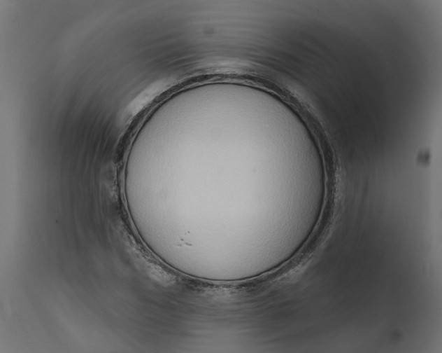 X0000111520970200907281334