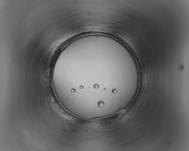 X0000111520971200907281334