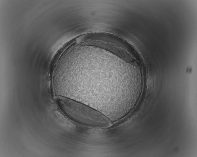 X0000111520973200907281334