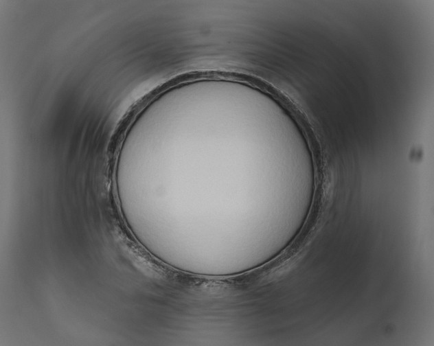 X0000111520974200907281334