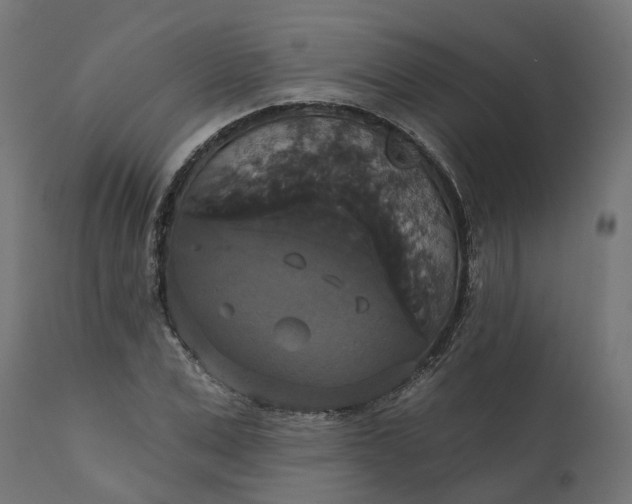 X0000111520975200907281334