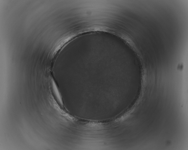 X0000111520977200907281334