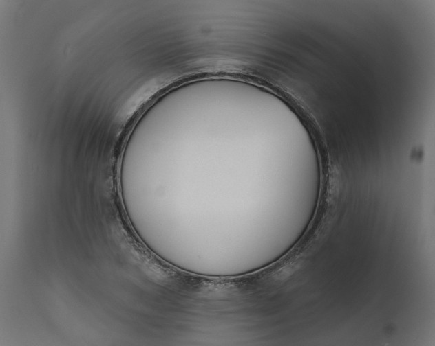 X0000111520978200907281334