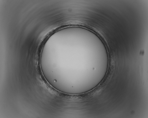 X0000111520979200907281334
