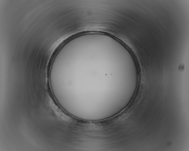 X0000111520980200907281334
