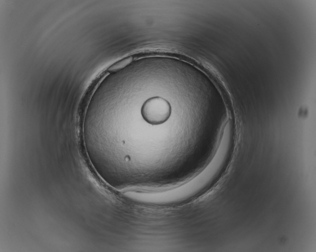 X0000111520981200907281334
