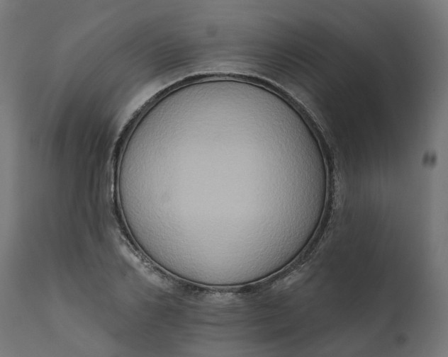 X0000111520982200907281334