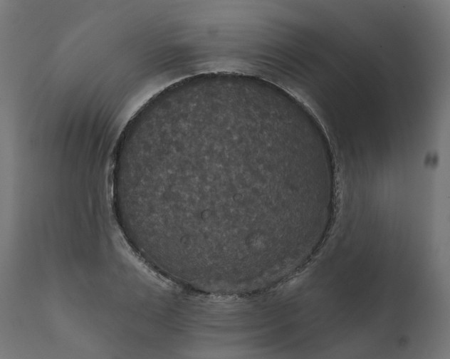 X0000111520983200907281334