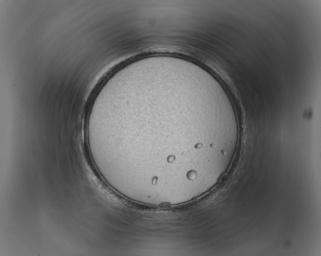X0000111520984200907281334