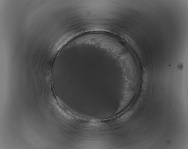 X0000111520985200907281334