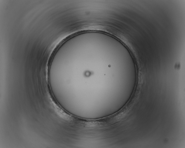 X0000111520988200907281334