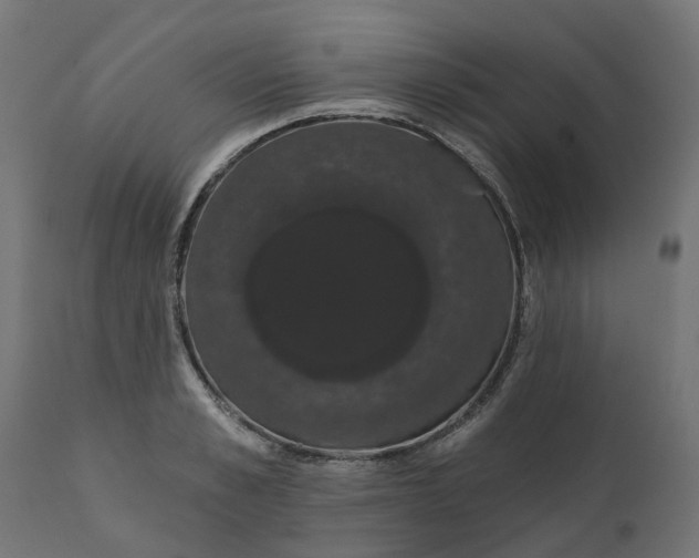X0000111520989200907281334